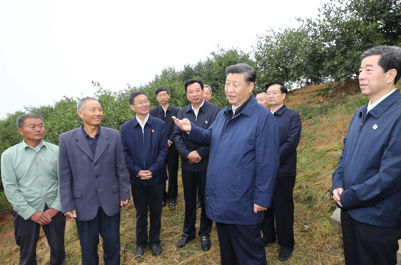 　　9月16日至18日，中共中央總書(shū)記、國(guó)家主席、中央軍委主席習(xí)近平在河南考察。這是17日上午，習(xí)近平來(lái)到信陽(yáng)市光山縣槐店鄉(xiāng)司馬光油茶園，同正在勞作的村民和管理人員交流。 新華社記者 鞠鵬 攝