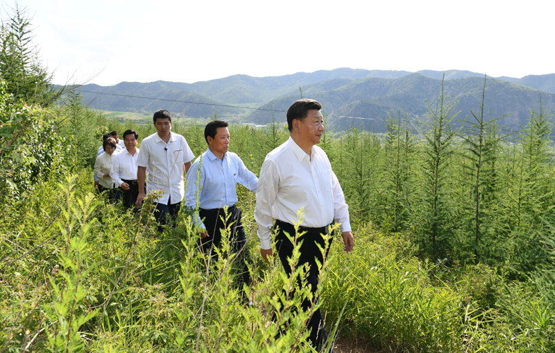 7月15日至16日，中共中央總書記、國家主席、中央軍委主席習近平在內(nèi)蒙古考察并指導開展“不忘初心、牢記使命”主題教育。這是15日下午，習近平在赤峰市喀喇沁旗馬鞍山林場林區(qū)，沿著崎嶇的護林小道察看林木長勢。